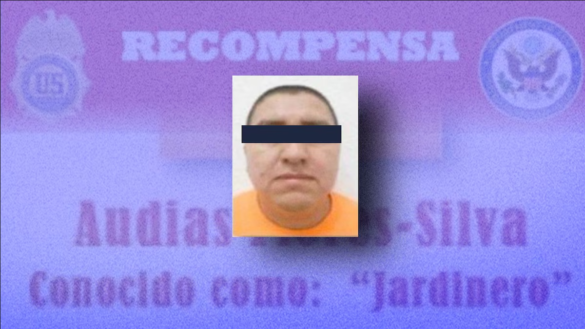 Hoy se detuvo al sucesor del “Mencho”. Omar García Harfuch está imparable y confirma ser el mejor elemento de Claudia Sheinbaum. La oposición calla y la 4T avanza.